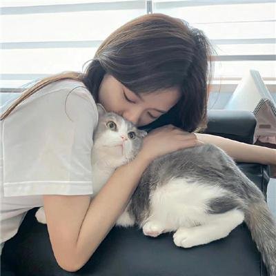 美国派:兄弟会
